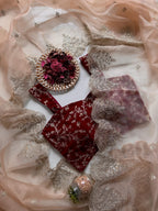 Naina - Soft Organza Saree with handwork