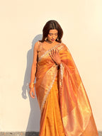 Ameesha - Tissue silk saree