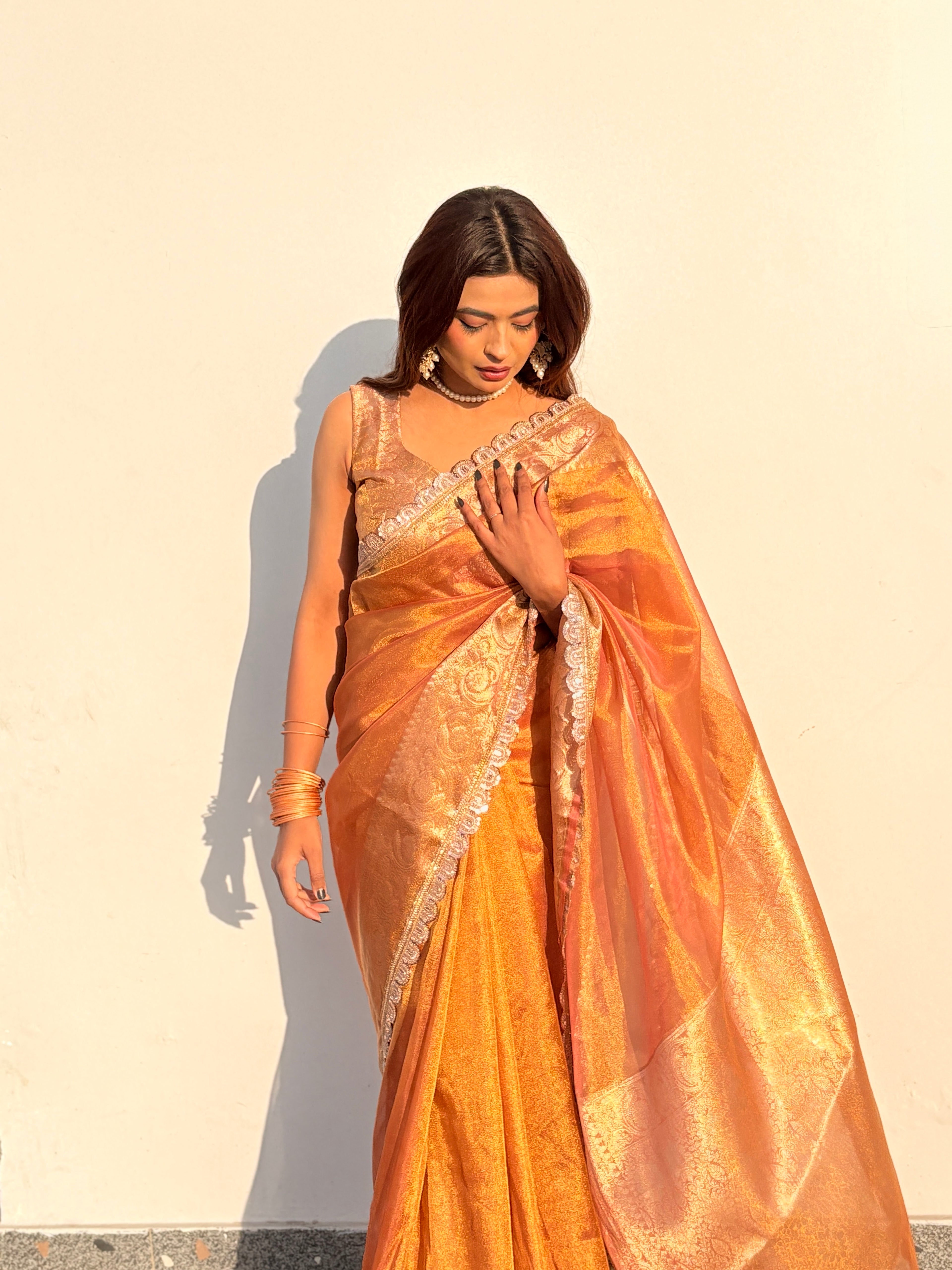 Ameesha - Tissue silk saree