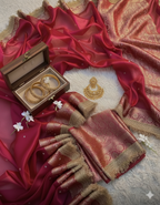 Henna - Banarasee Tissue Handwork Saree