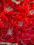 Eva - Pure Chiffon Saree with Handwork