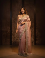 Fana - Banarase Tissue Silk