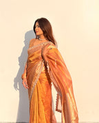 Ameesha - Tissue silk saree