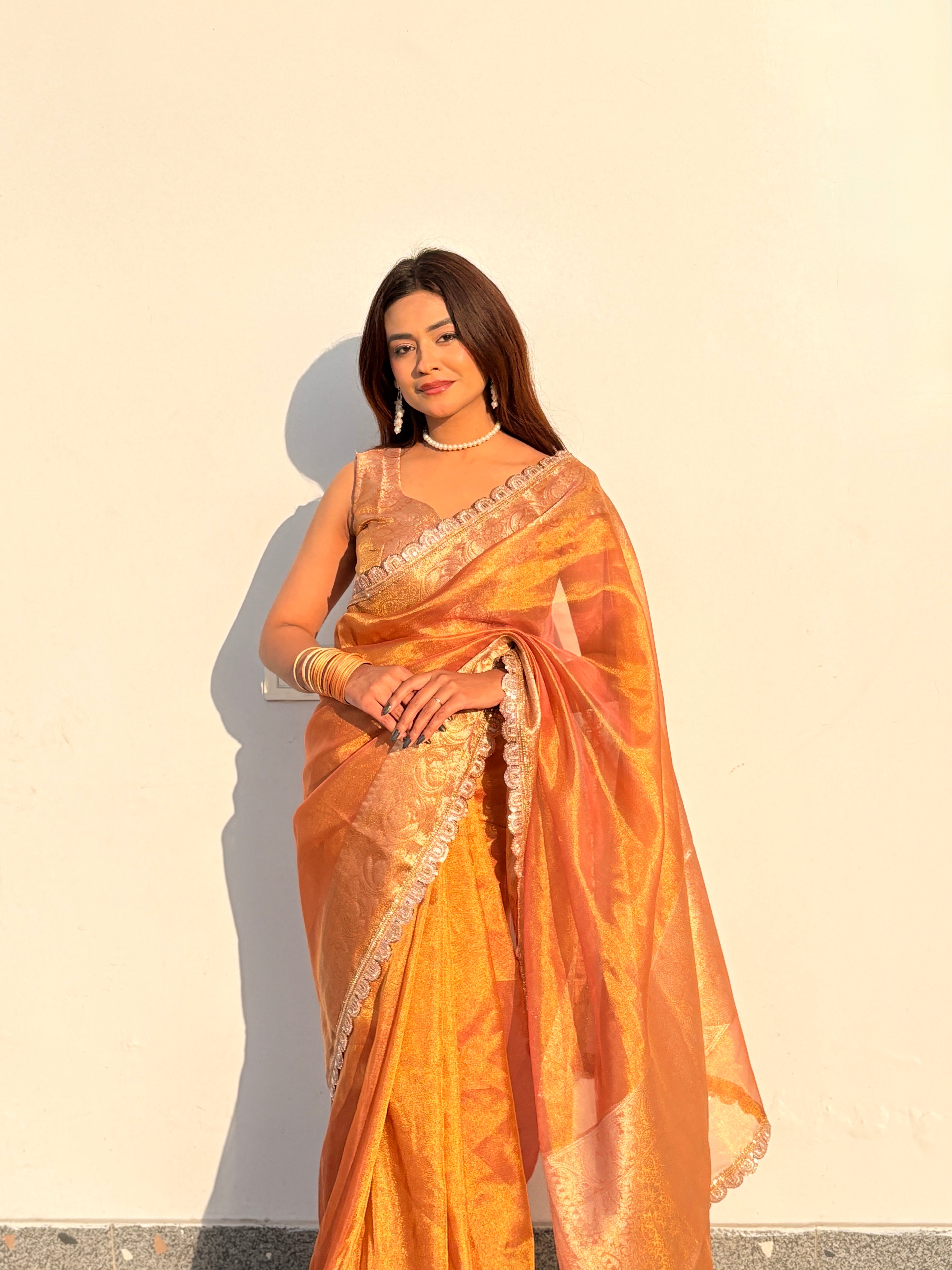 Ameesha - Tissue silk saree