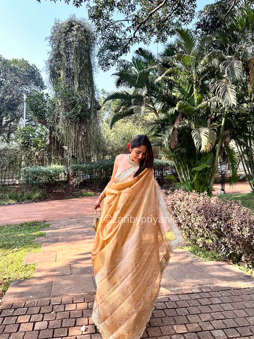 Arthi - Banarasi Tissue Handwork Saree