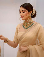 Driti - Tissue Silk Saree