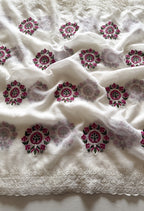 Hiran- Chiffon Saree with Contrast Blouse