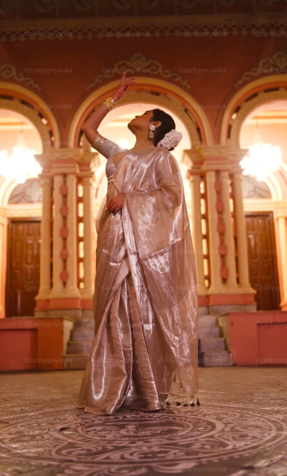 Ishita - Pure Brocade Tissue Silk Saree