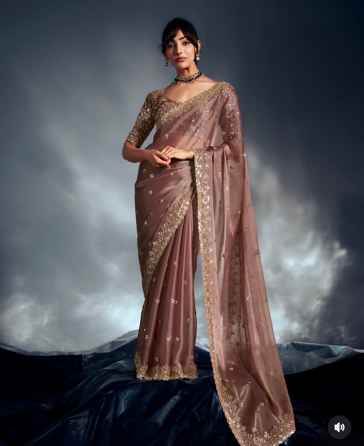 Rang - Tissue Crepe Silk Saree