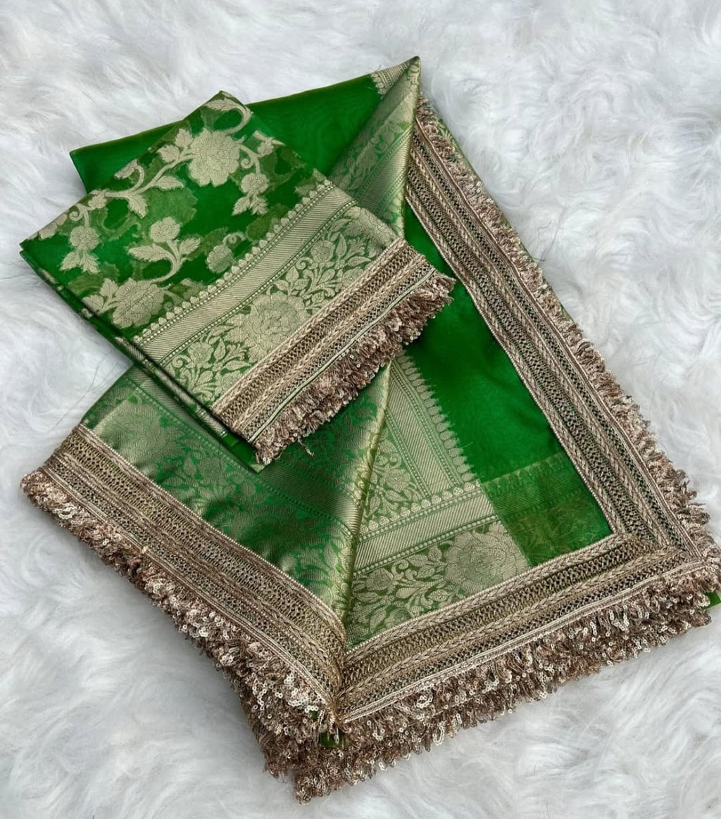 Sonam - Tissue Silk Saree, paired with a stunning Brocade Blouse