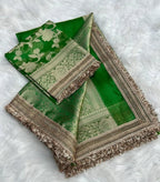 Sonam - Tissue Silk Saree, paired with a stunning Brocade Blouse