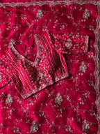 Kashmira - Designer Handwork Saree
