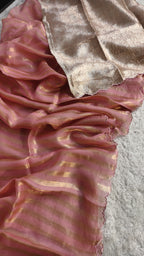 Sidra - Pure Organza Tissue Reshami Zari Silk Saree