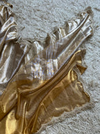 Alisha - Tissue silk saree