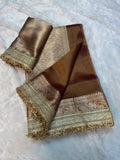 Ruru - Glass Tissue Silk Saree with Handwork