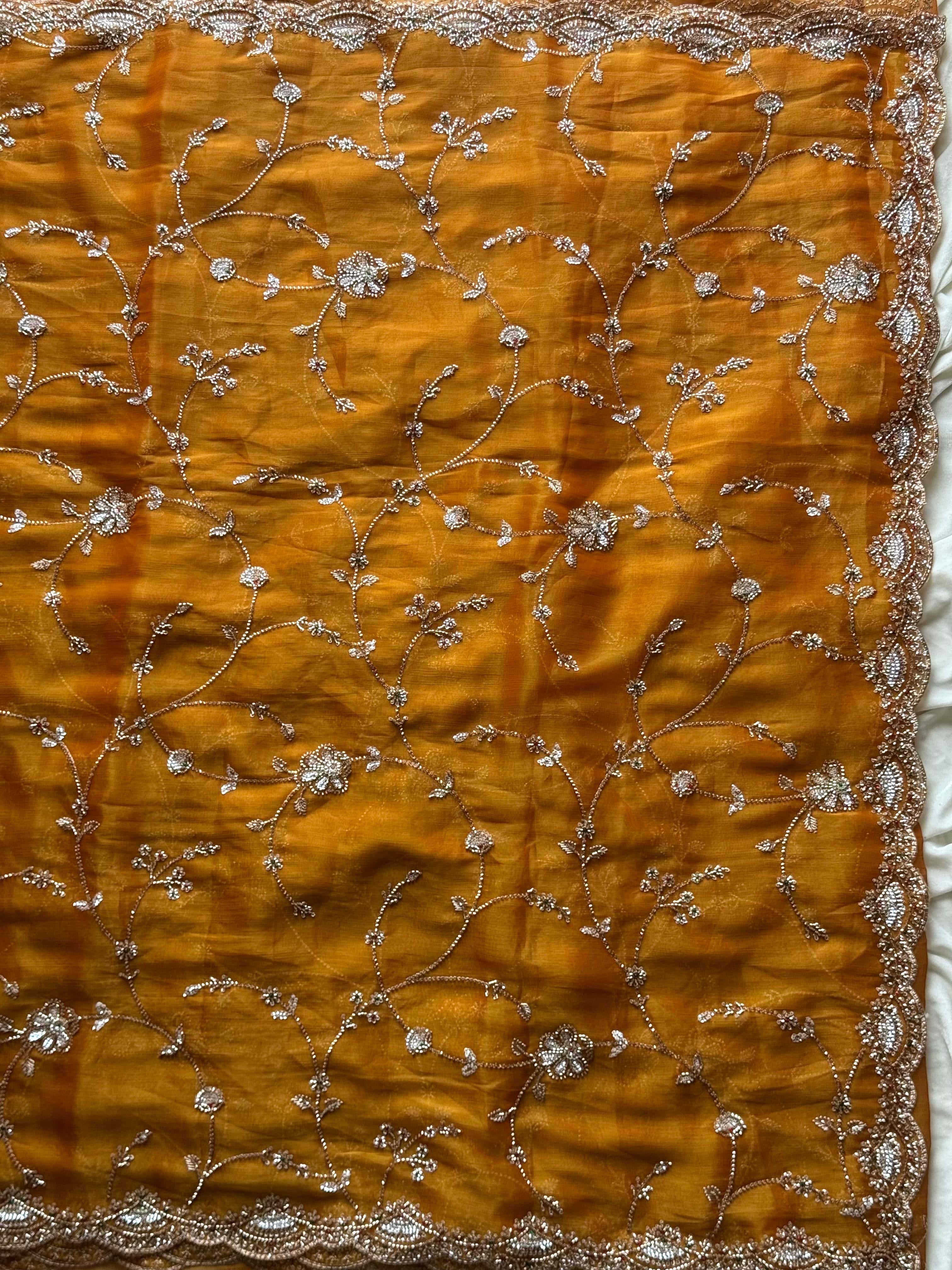 Alana - Designer Tissue Crepe Saree