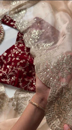 Naina - Soft Organza Saree with handwork