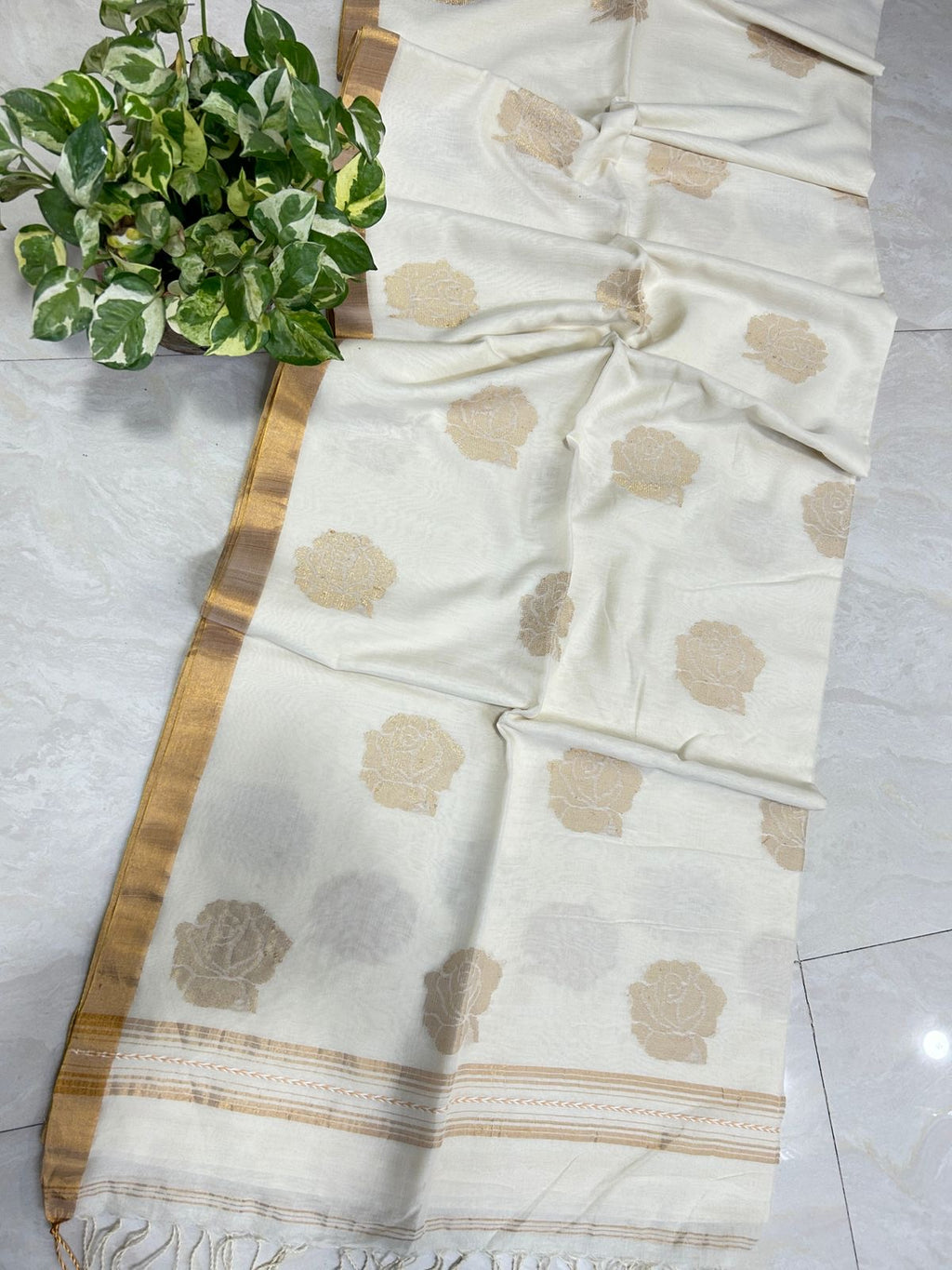 Suvarna - Handwoven Pure Handloom Soft Cotton Saree with Gold zari Jamdani weaving