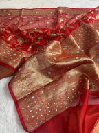 Maya - Tissue Silk Saree, paired with a stunning Brocade Blouse