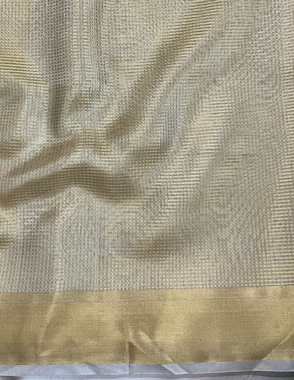 Shakti - Banarasee Tissue Silk Saree