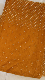 Miraaya - Designer Tissue Organza Saree with handwork