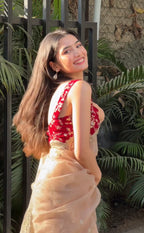 Naina - Soft Organza Saree with handwork