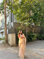 Naina - Soft Organza Saree with handwork