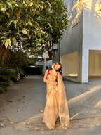 Naina - Soft Organza Saree with handwork