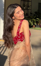 Naina - Soft Organza Saree with handwork