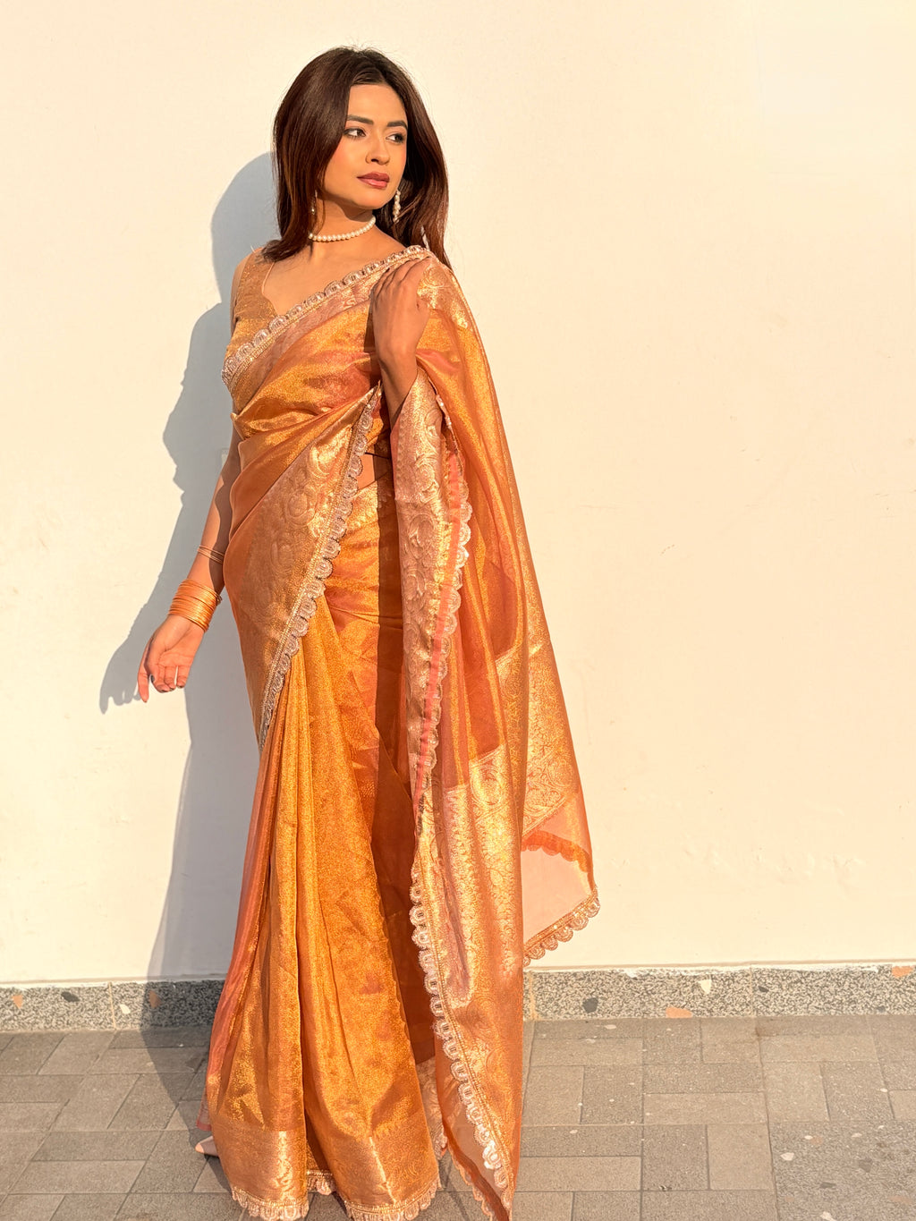 Ameesha - Tissue silk saree