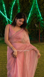 Masoom - Designer Tissue Organza Saree with handwork
