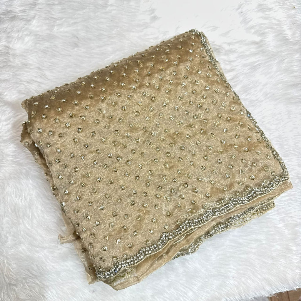 Neha 4 - Designer Tissue Organza Saree with handwork