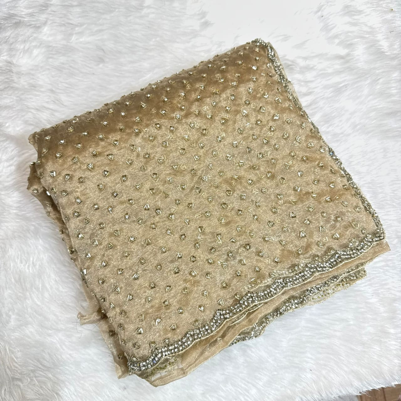 Neha 4 - Designer Tissue Organza Saree with handwork