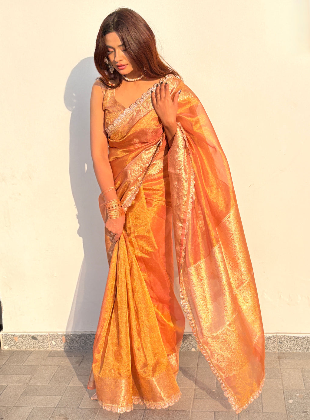 Ameesha - Tissue silk saree