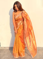 Ameesha - Tissue silk saree
