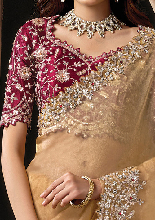 Aneeta - Designer Organza Tissue Saree