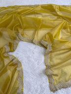Arina - Tissue silk saree