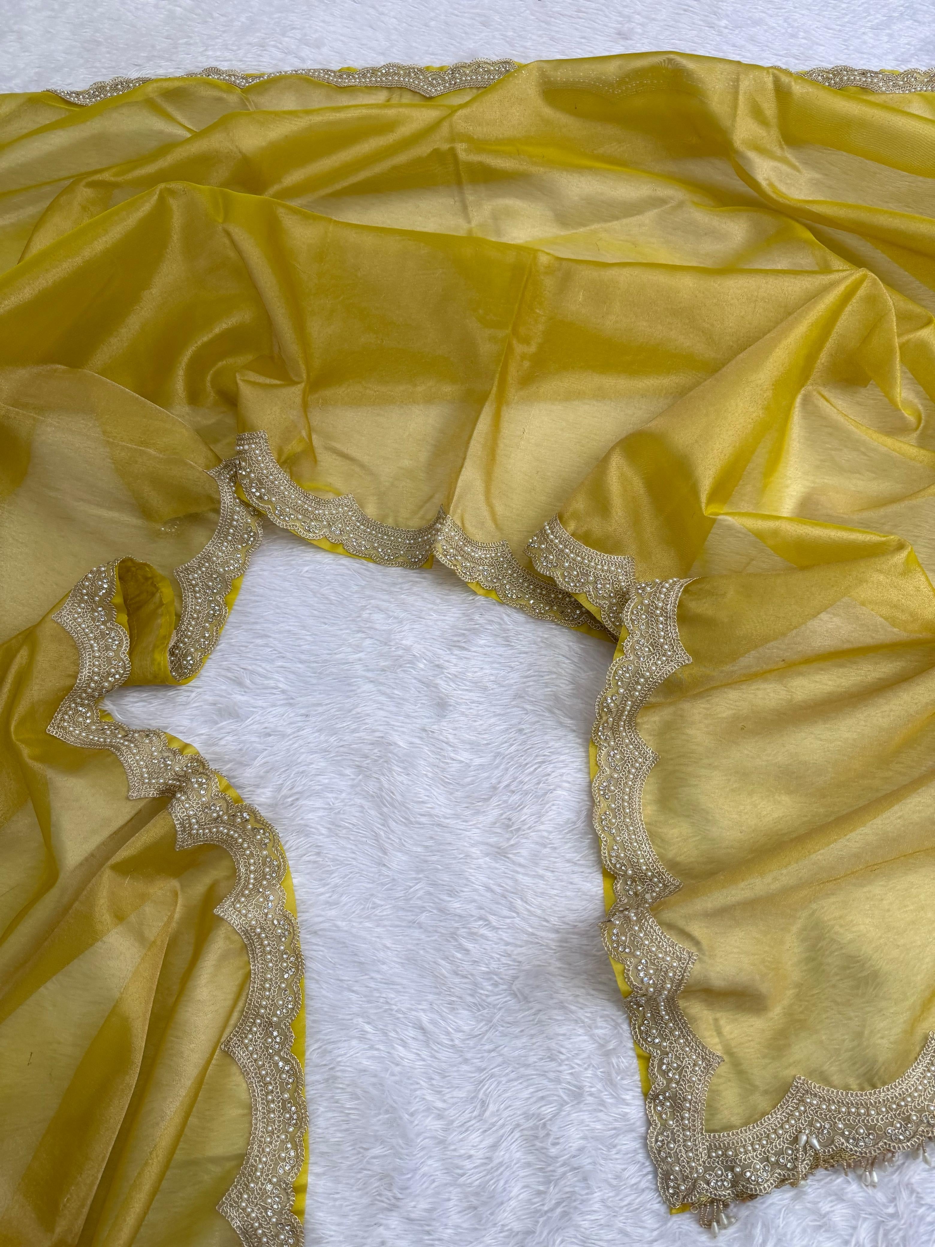 Arina - Tissue silk saree