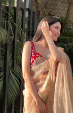 Naina - Soft Organza Saree with handwork