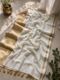 Malvika - Mul Mul Cotton Saree
