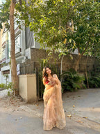 Naina - Soft Organza Saree with handwork