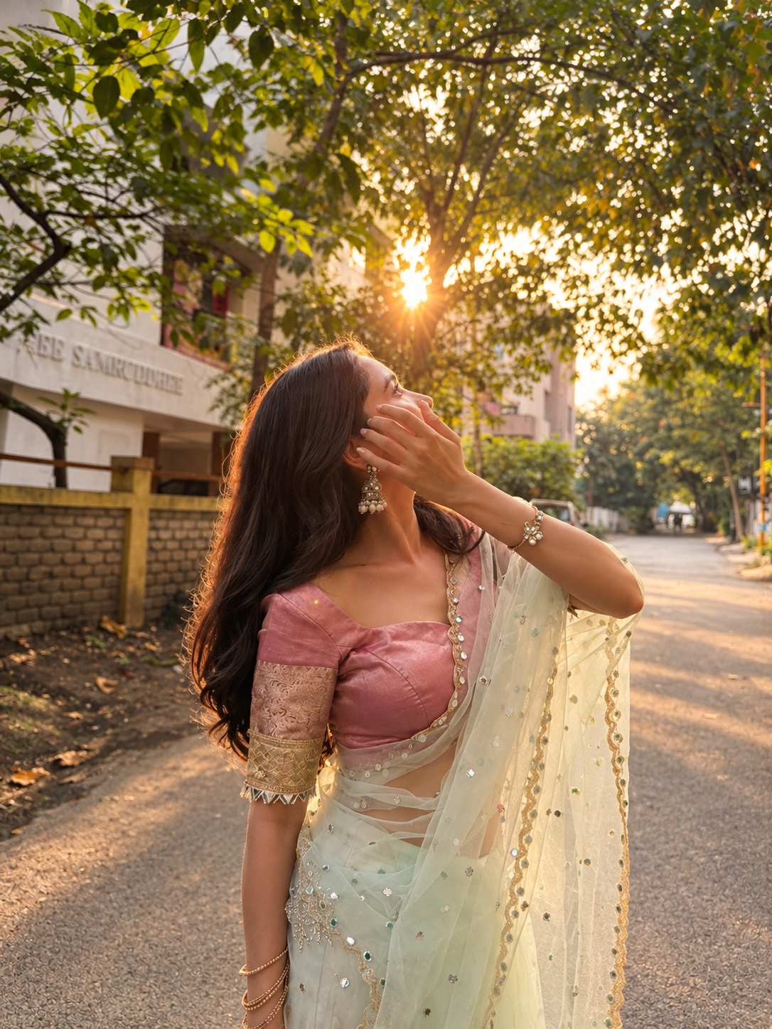 Tisha - Designer Tissue Organza Saree with handwork