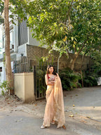 Naina - Soft Organza Saree with handwork