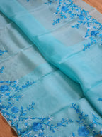 Jayanti - Pure Organza Silk with Embroidery