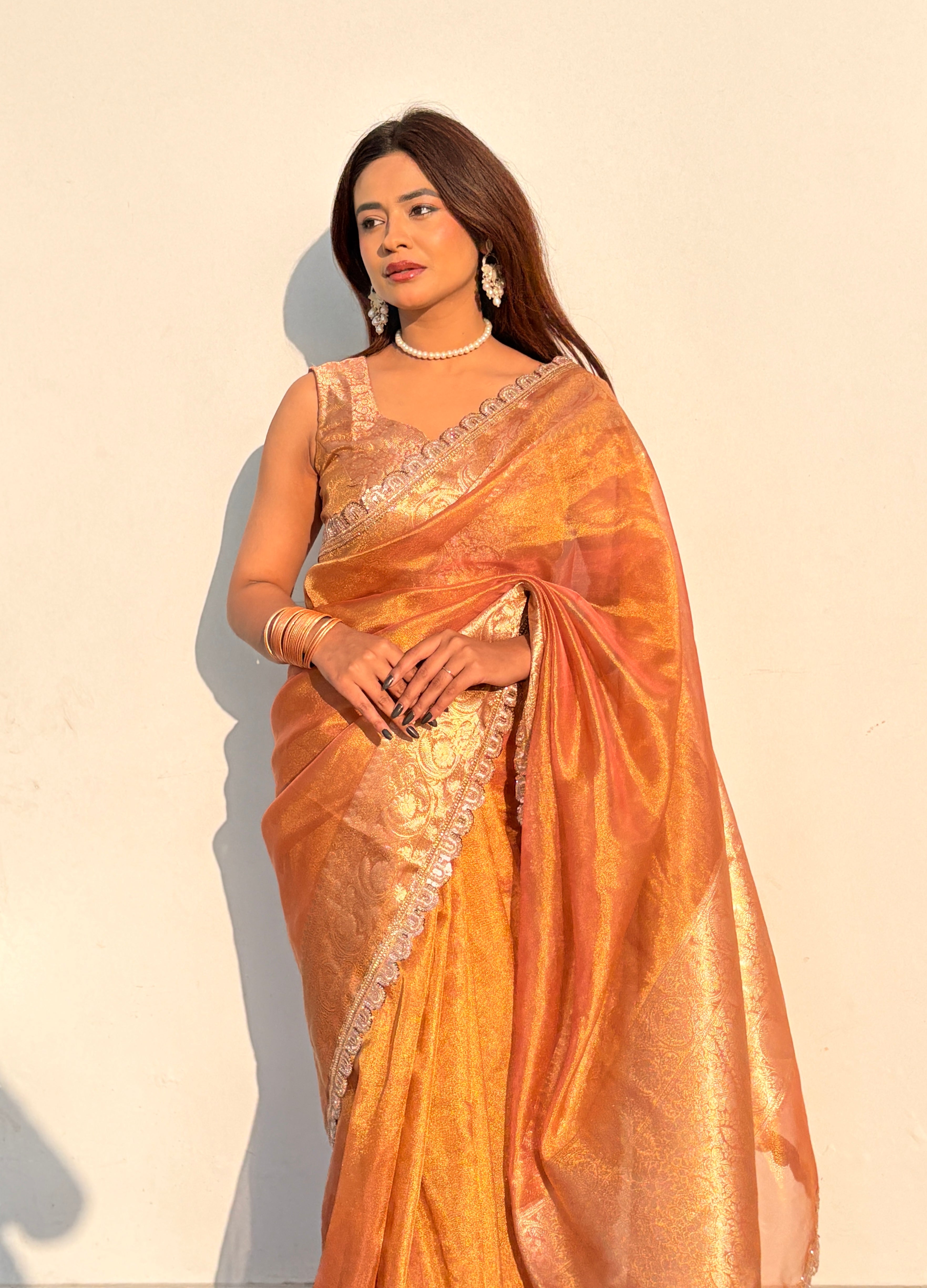Ameesha - Tissue silk saree