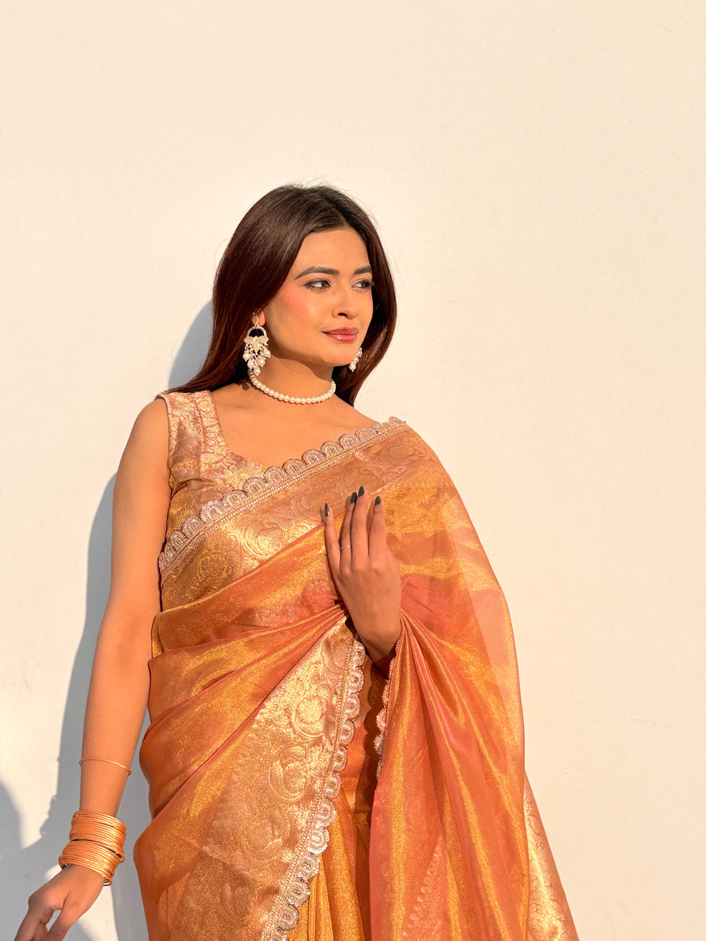 Ameesha - Tissue silk saree