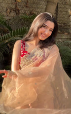 Naina - Soft Organza Saree with handwork