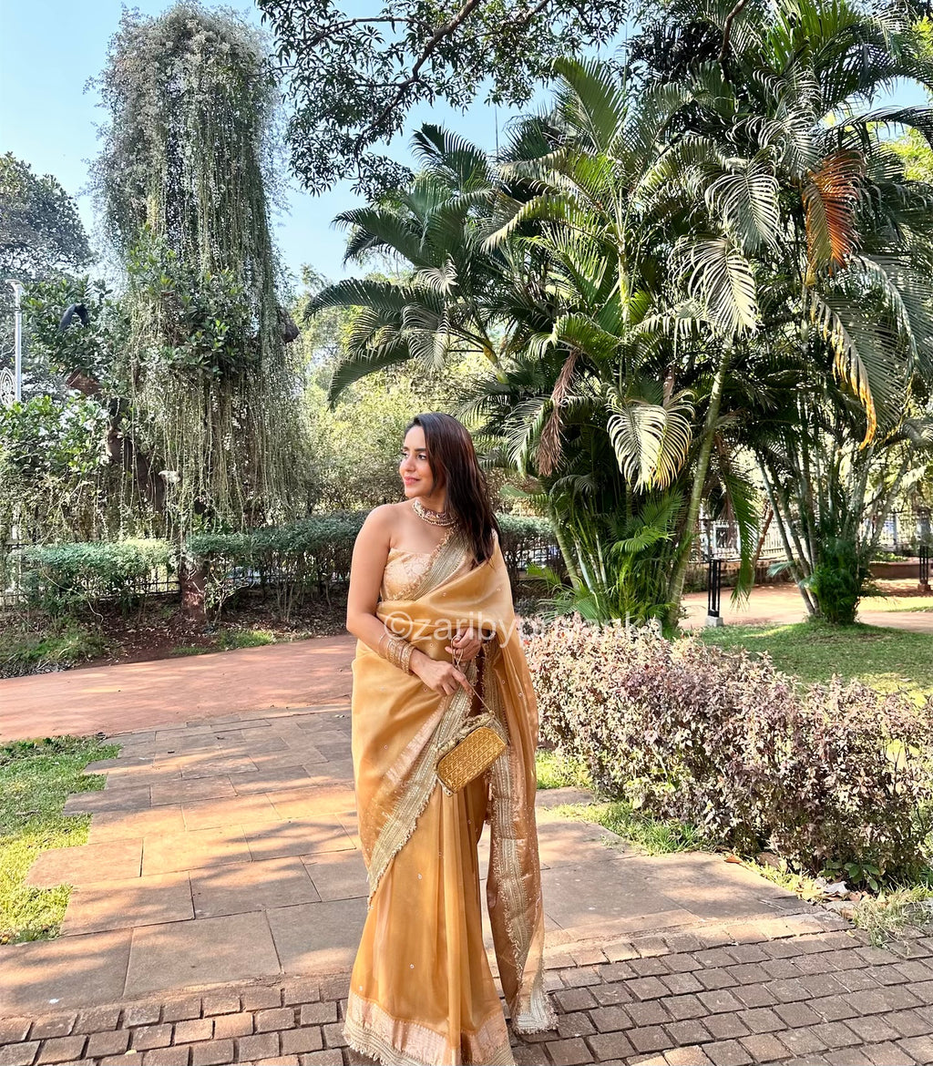 Arthi - Banarasi Tissue Handwork Saree