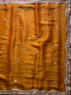 Nikila - Tissue Silk Cocktail Saree