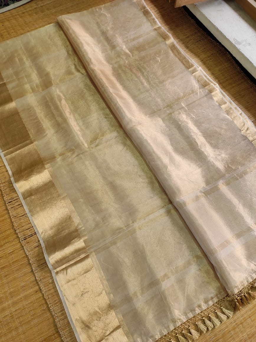 Atwa - Pure Tissue Organza Silk Plain Saree with Special Tassels